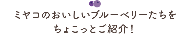 ミヤコのおいしいブルーベリーたちをちょこっとご紹介！