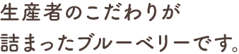 生産者のこだわりが詰まったブルーベリーです。