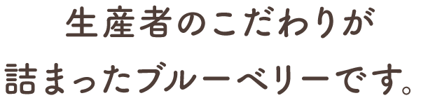 生産者のこだわりが詰まったブルーベリーです。